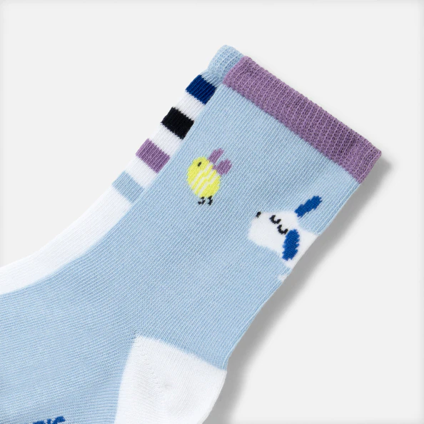 Baby boy duo of socks
