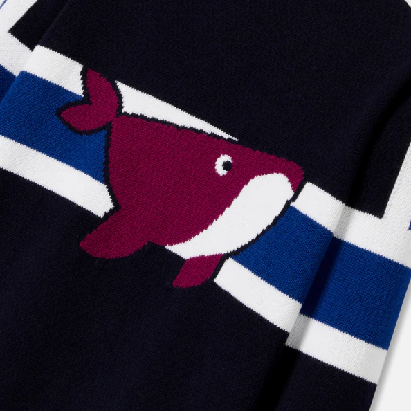 Boy jumper